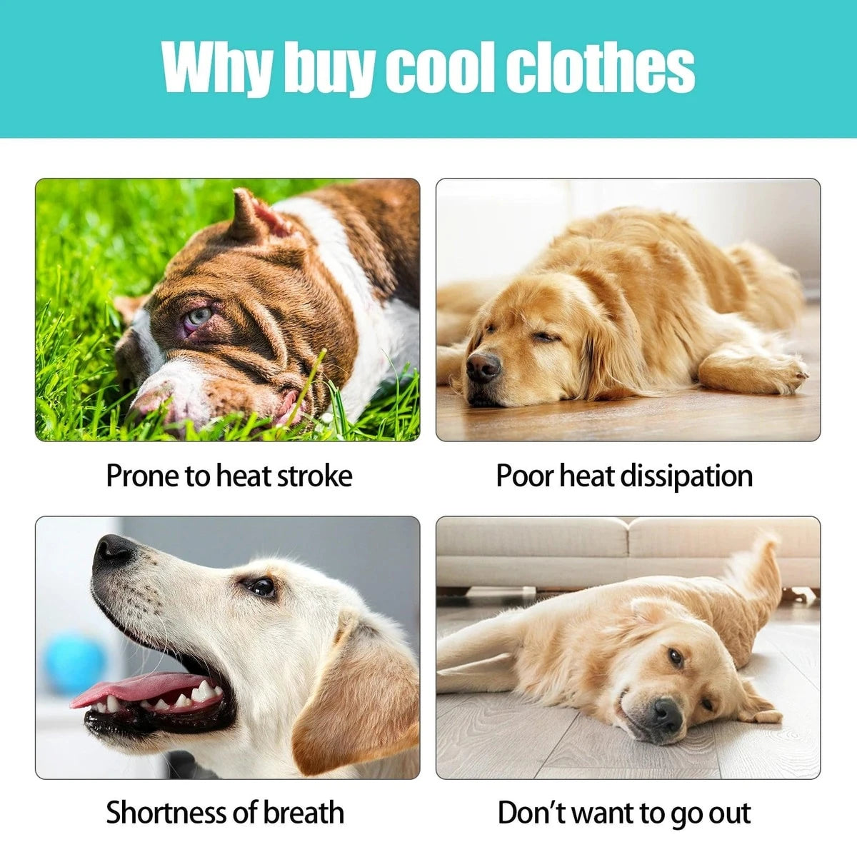 PawCool Leichte Kühlweste mit reflektierenden Streifen