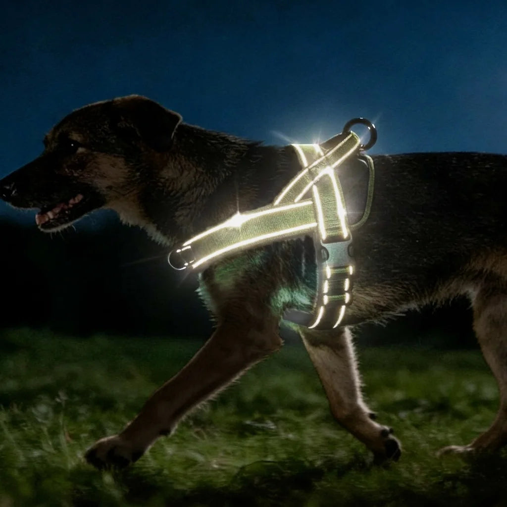 PawCool Taktisches Hundegeschirr – Strapazierfähiges Anti-Zug-Geschirr für große Hunderassen
