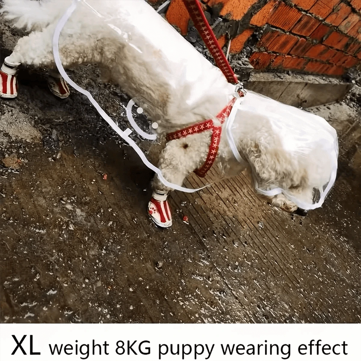 PawCool Transparent Dog Raincoat – Clear Waterproof Coat for Small Dogs