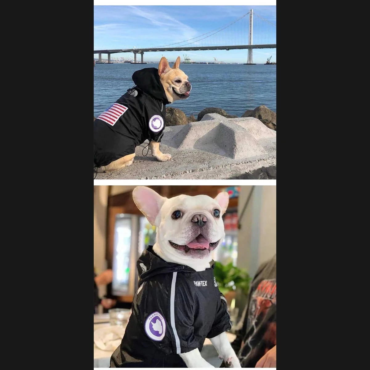 PawCool Reflective Dog Raincoat – Waterproof Hooded Jacket for Small Dogs