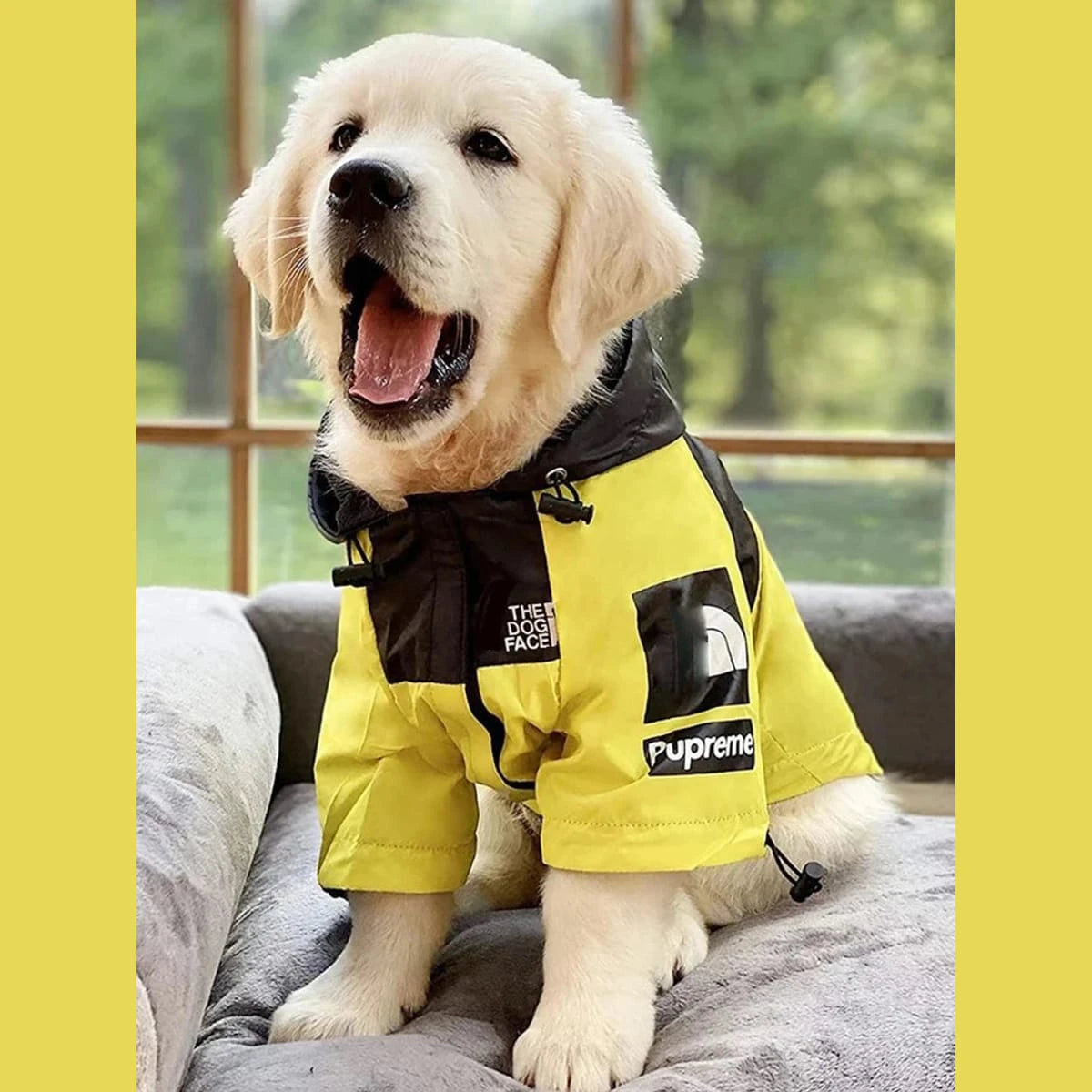PawCool Reflective Dog Raincoat – Waterproof Hooded Jacket for Small Dogs
