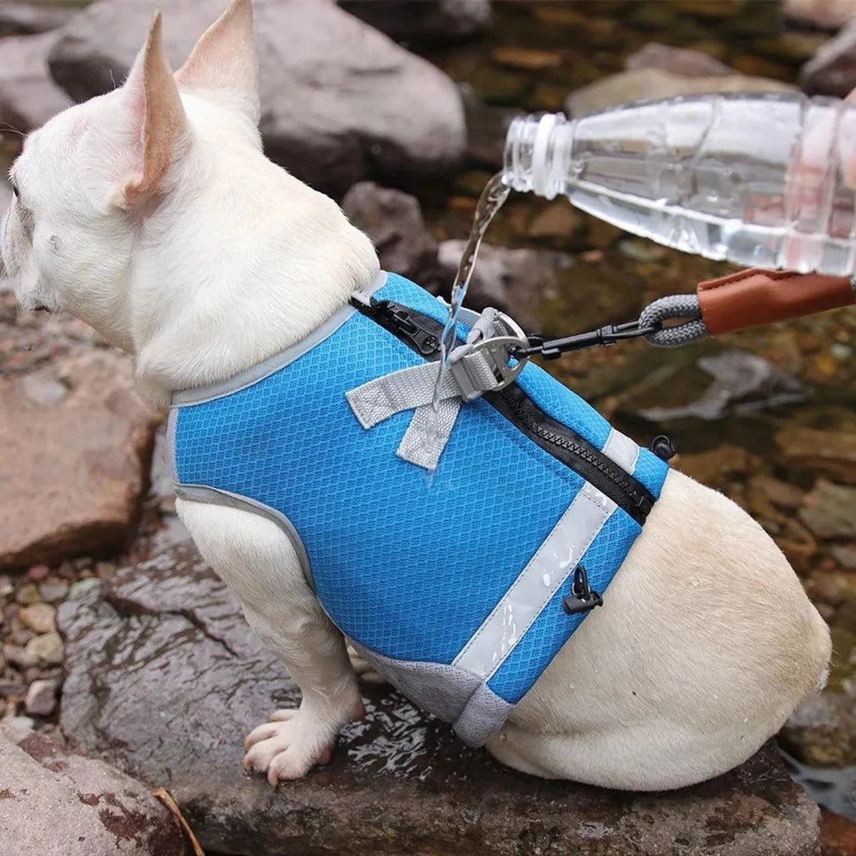 PawCool Eisseide-Kühlweste für große Hunde