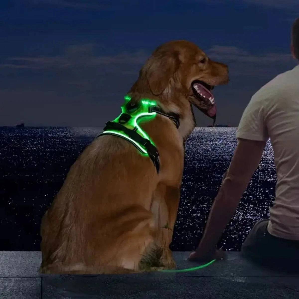 PawCool LED Leuchthundegeschirr – Verstellbares Blinkhalsband für Spaziergänge bei Nacht