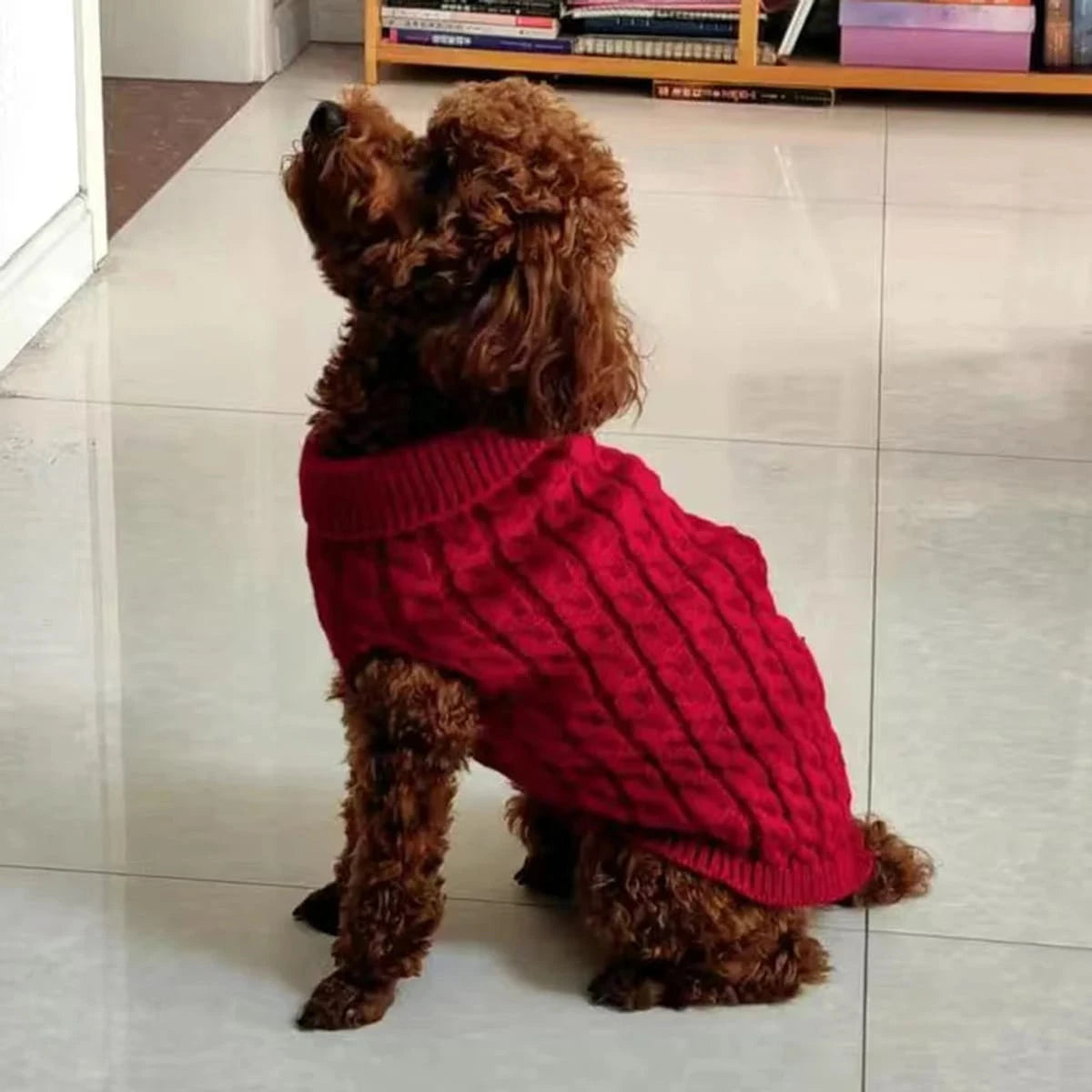 PawCool Classic Dog Sweater – Warm Knit Pullover for Small Breeds