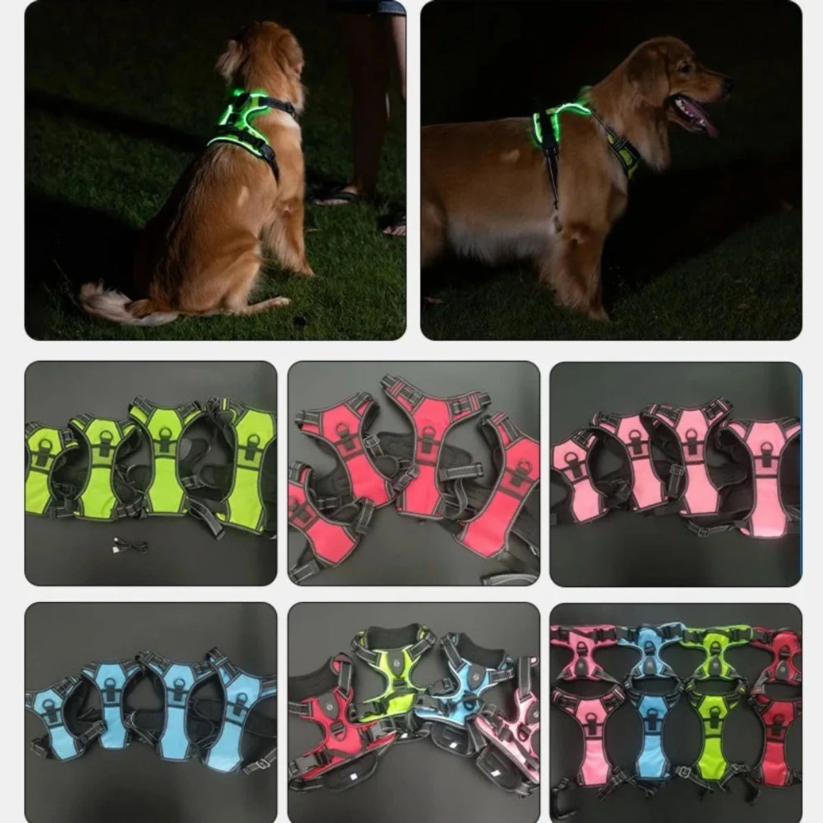 PawCool LED Leuchthundegeschirr – Verstellbares Blinkhalsband für Spaziergänge bei Nacht