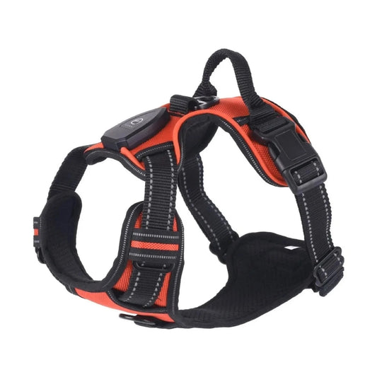 PawCool LED Leuchthundegeschirr – Verstellbares Blinkhalsband für Spaziergänge bei Nacht