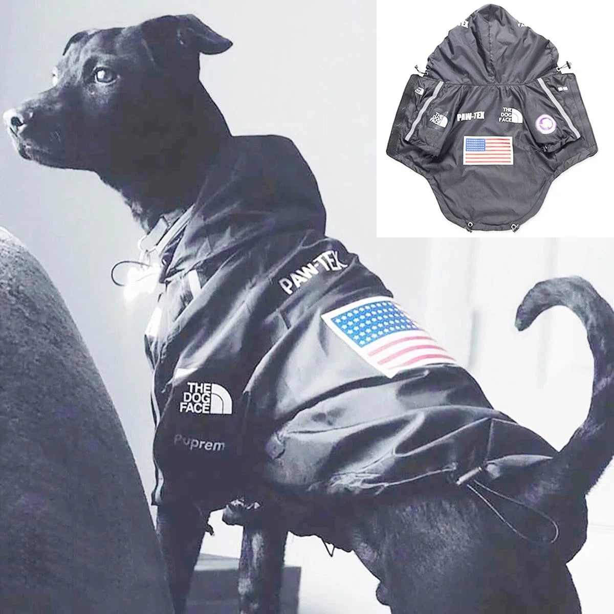 PawCool Reflective Dog Raincoat – Waterproof Hooded Jacket for Small Dogs
