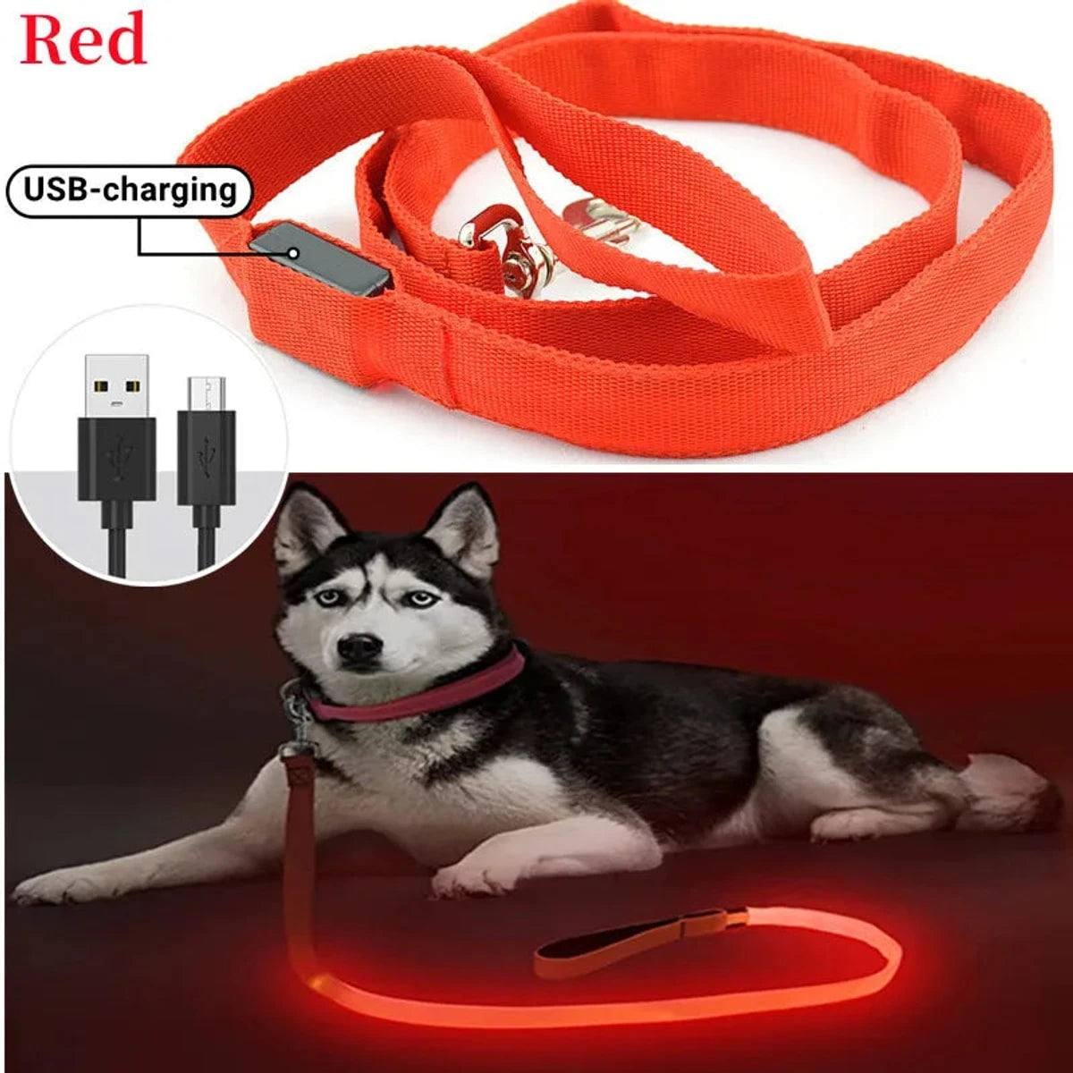 PawCool USB wiederaufladbare LED-Hundeleine – 3 Leuchtmodi für Sicherheit bei Nacht