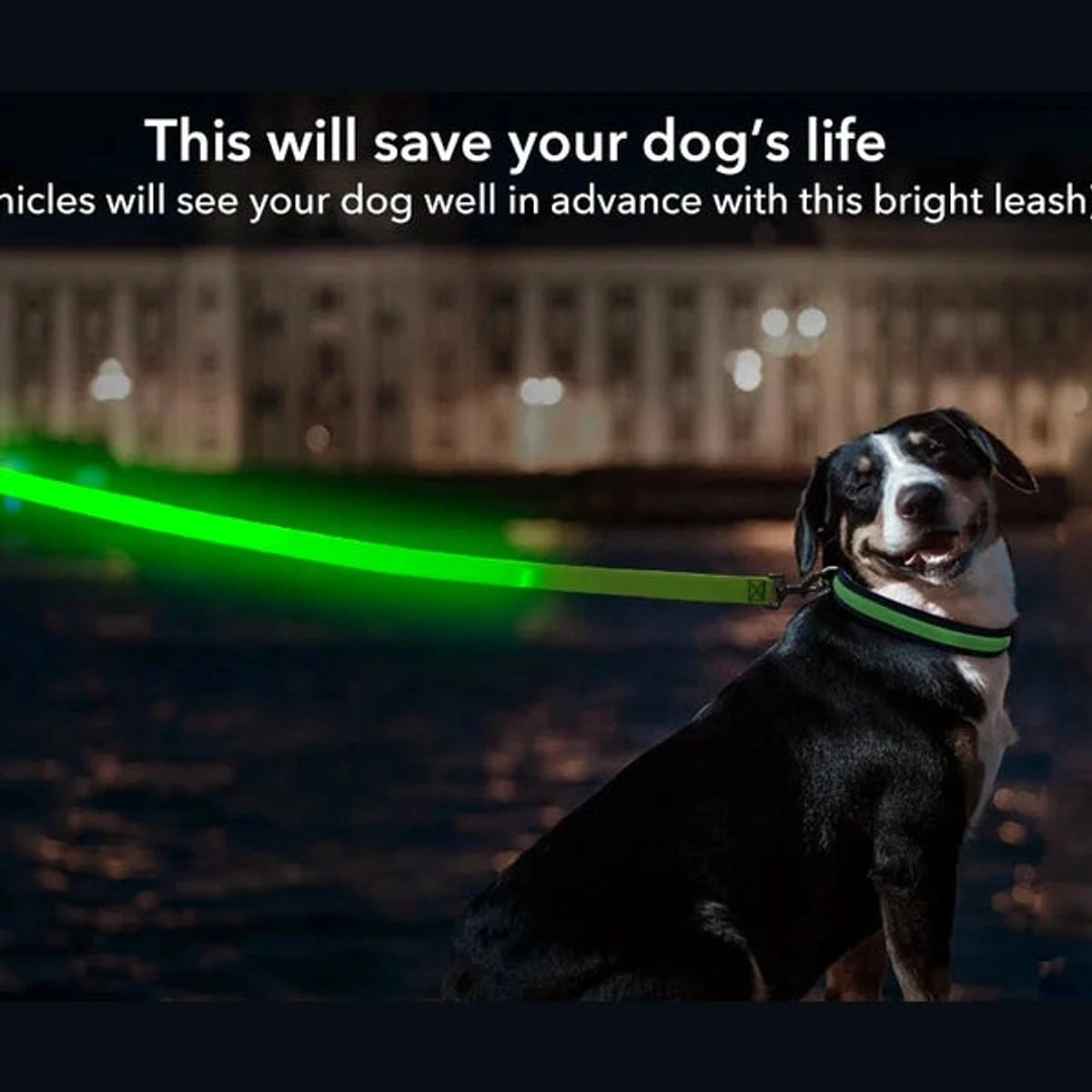 PawCool USB wiederaufladbare LED-Hundeleine – 3 Leuchtmodi für Sicherheit bei Nacht
