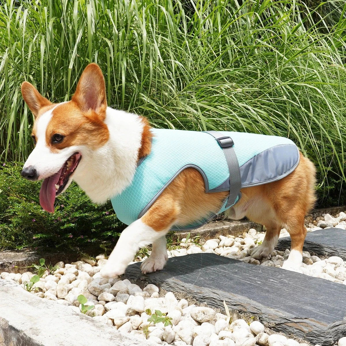 Gilet Rafraîchissant Léger PawCool avec Bandes Réfléchissantes