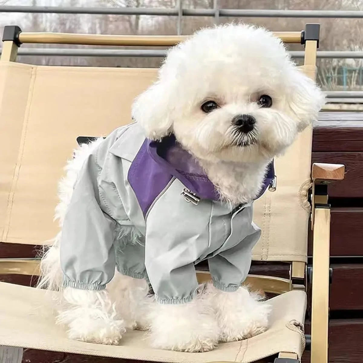 PawCool Four-Leg Dog Raincoat – Windproof Jumpsuit for Small Dogs