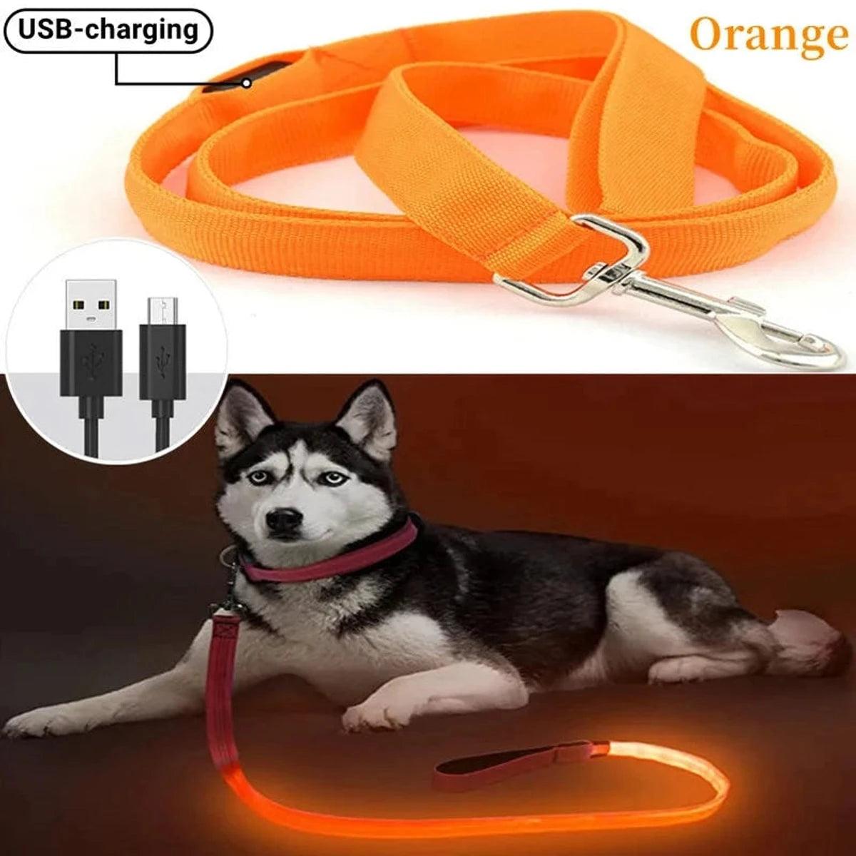 PawCool USB wiederaufladbare LED-Hundeleine – 3 Leuchtmodi für Sicherheit bei Nacht