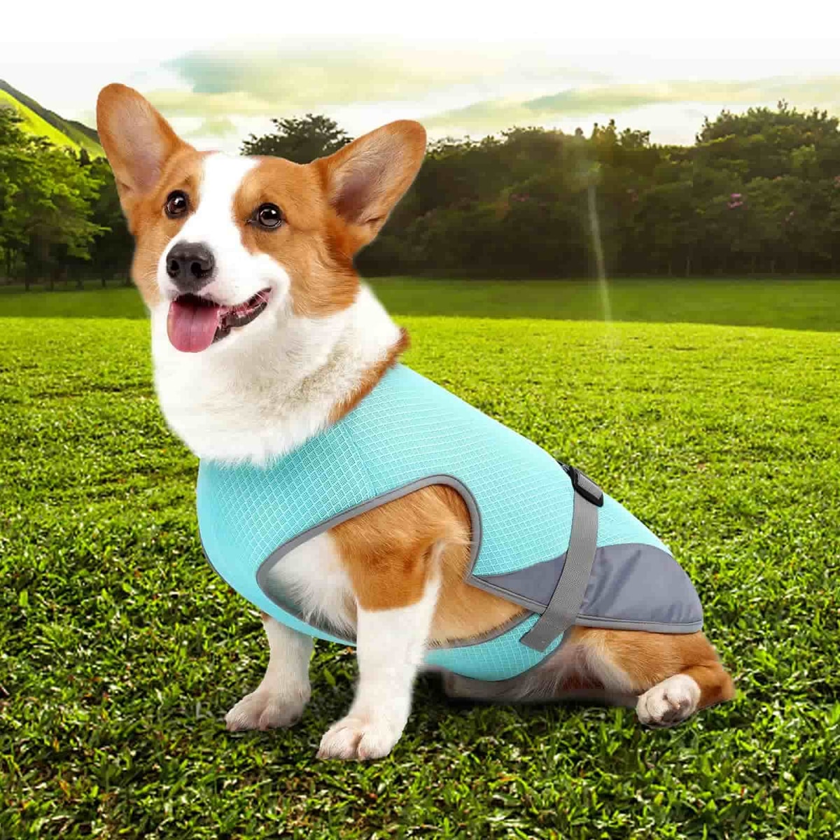 Gilet Rafraîchissant Léger PawCool avec Bandes Réfléchissantes