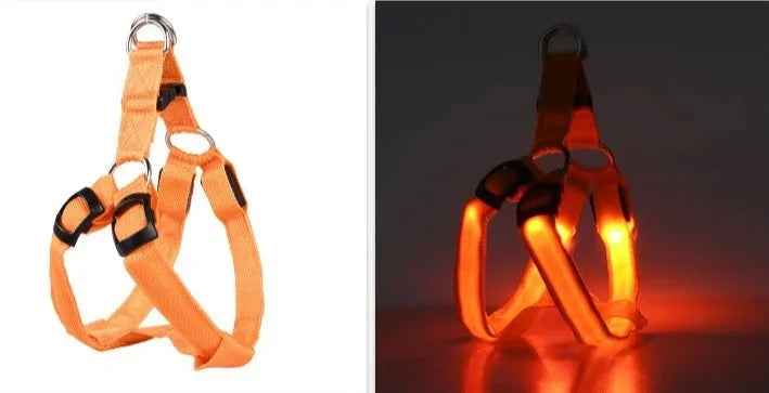 PawCool LED-Hundegeschirr – Reflektierendes & wiederaufladbares Sicherheitslicht