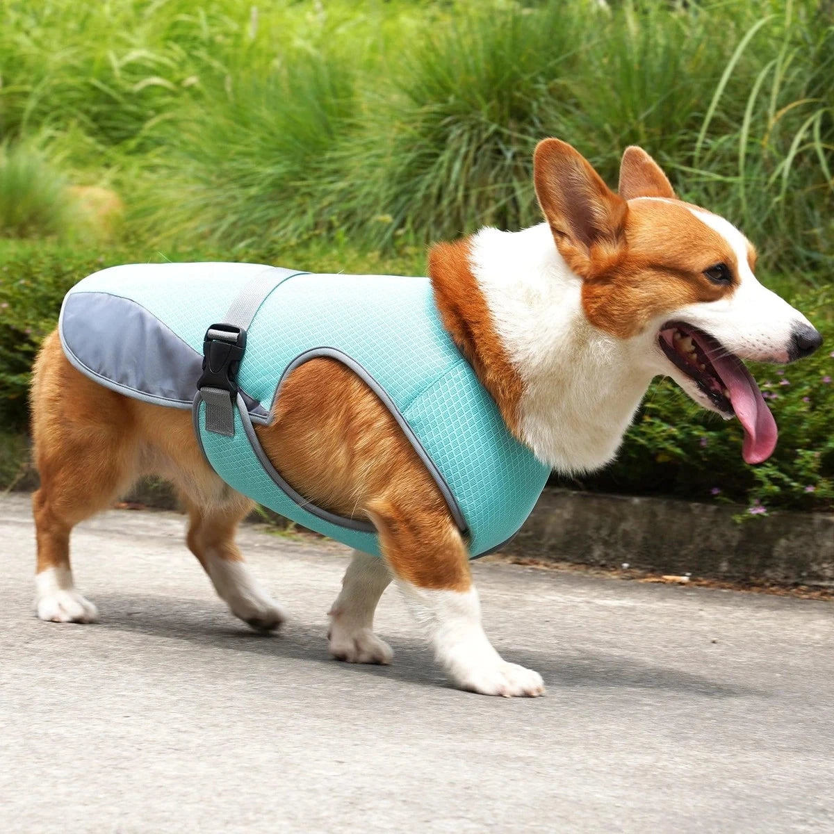 Gilet Rafraîchissant Léger PawCool avec Bandes Réfléchissantes