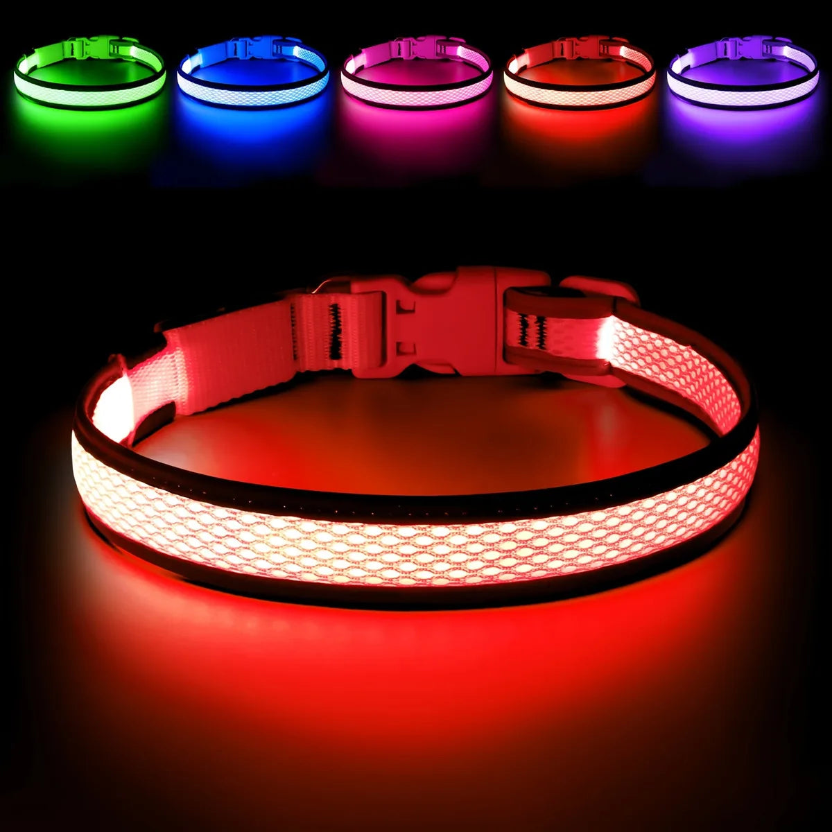 PawCool Leuchtendes LED-Hundehalsband – Nachtsicherheit & Gute Sichtbarkeit