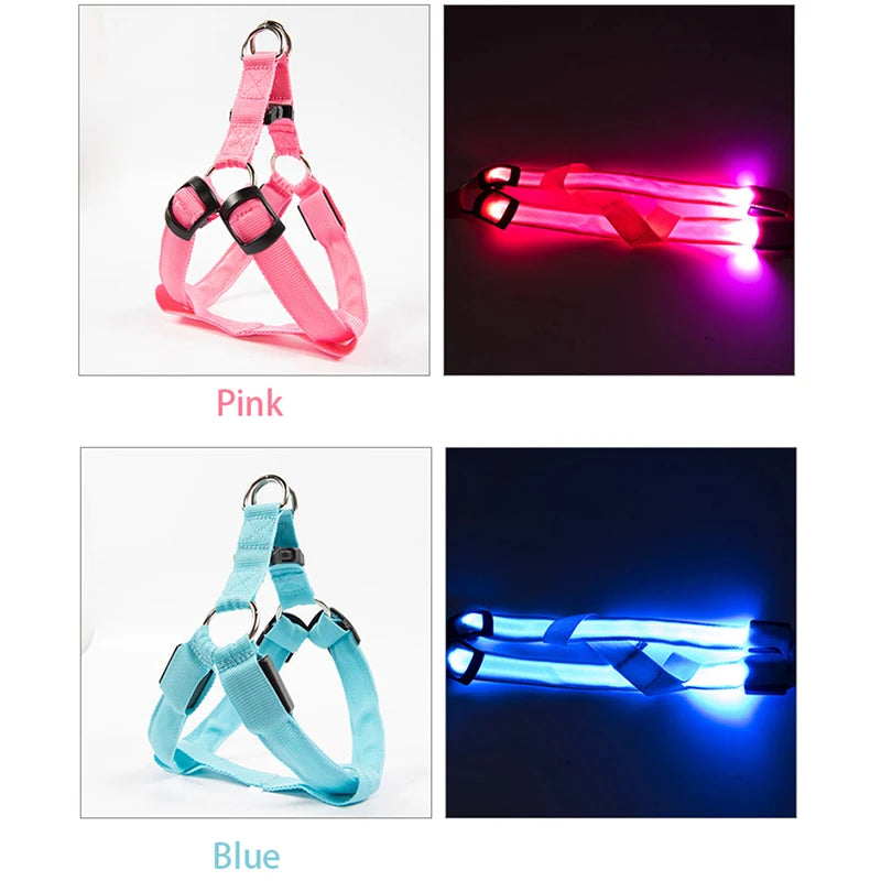 PawCool LED-Hundegeschirr – Reflektierendes & wiederaufladbares Sicherheitslicht