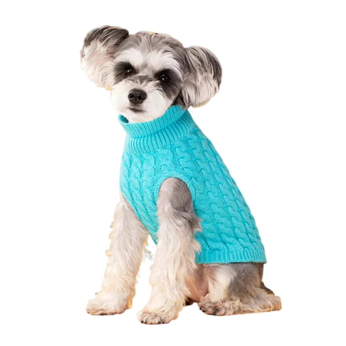 PawCool Classic Dog Sweater – Warm Knit Pullover for Small Breeds