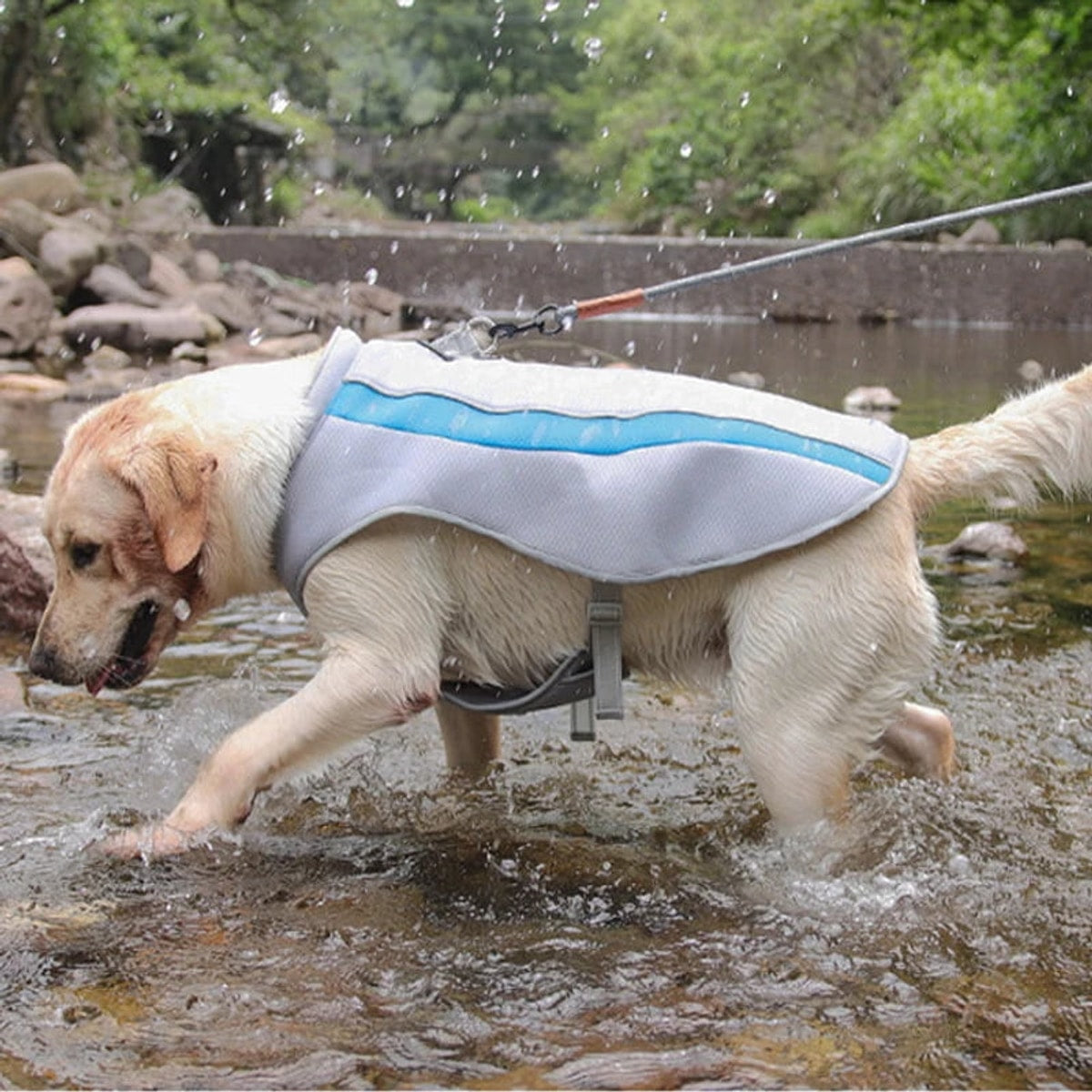 PawCool Eisseide-Kühlweste für große Hunde