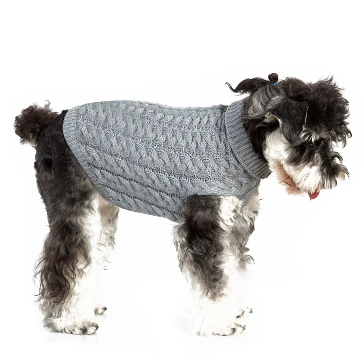 PawCool Classic Dog Sweater – Warm Knit Pullover for Small Breeds