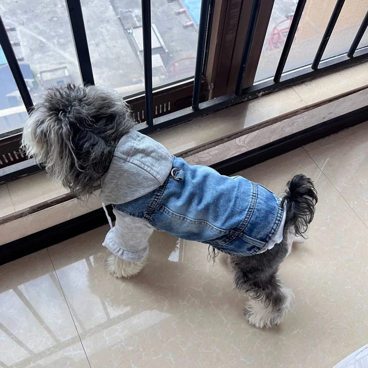 PawCool Denim Dog Jacket – Cool Jean Vest Harness for Small Dogs