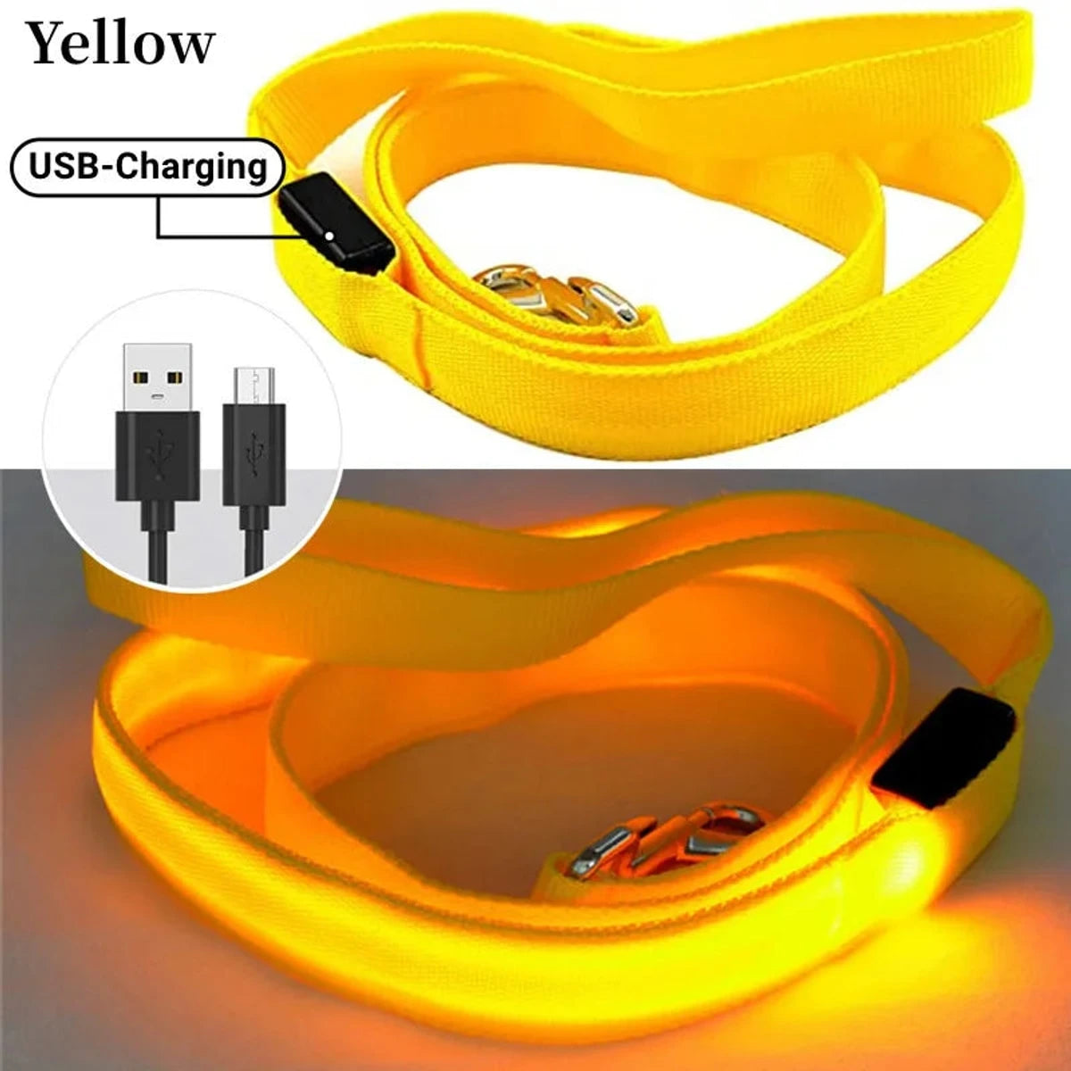 PawCool USB wiederaufladbare LED-Hundeleine – 3 Leuchtmodi für Sicherheit bei Nacht