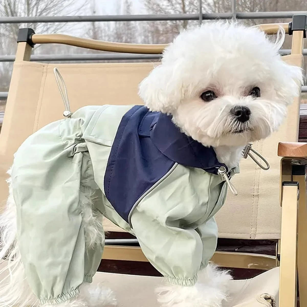 PawCool Four-Leg Dog Raincoat – Windproof Jumpsuit for Small Dogs
