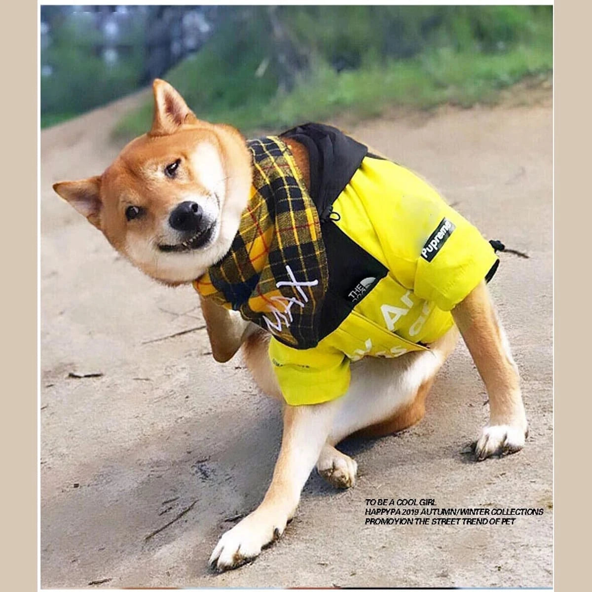 PawCool Reflective Dog Raincoat – Waterproof Hooded Jacket for Small Dogs