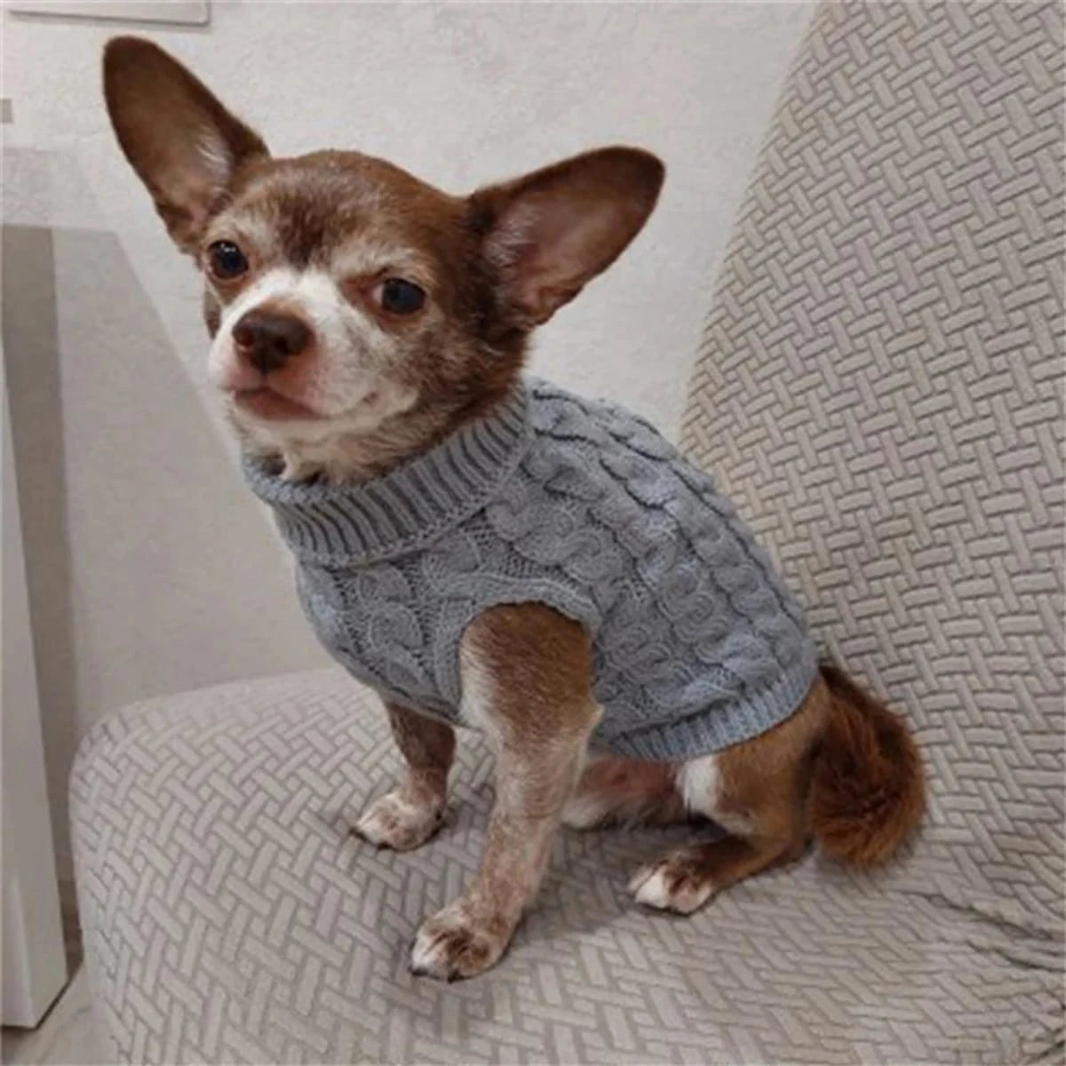 PawCool Classic Dog Sweater – Warm Knit Pullover for Small Breeds