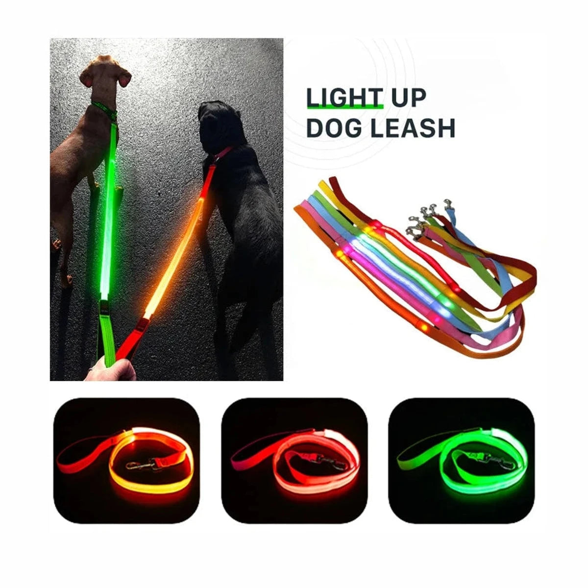 PawCool USB wiederaufladbare LED-Hundeleine – 3 Leuchtmodi für Sicherheit bei Nacht