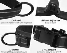 PawCool Leuchtendes LED-Hundehalsband – Nachtsicherheit & Gute Sichtbarkeit