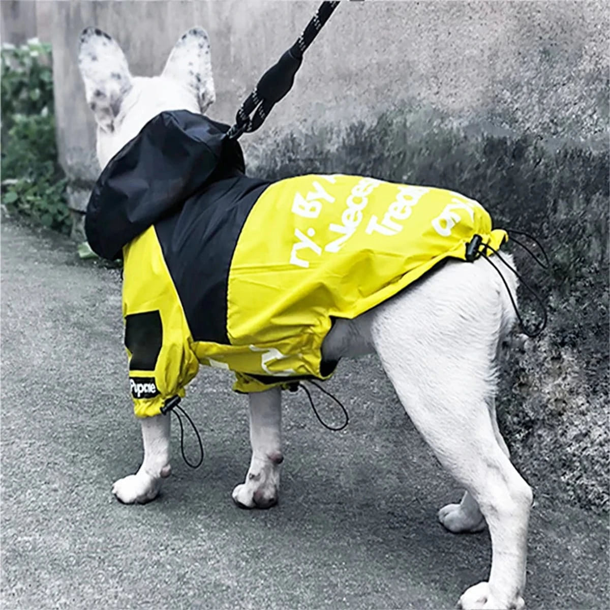 PawCool Reflective Dog Raincoat – Waterproof Hooded Jacket for Small Dogs