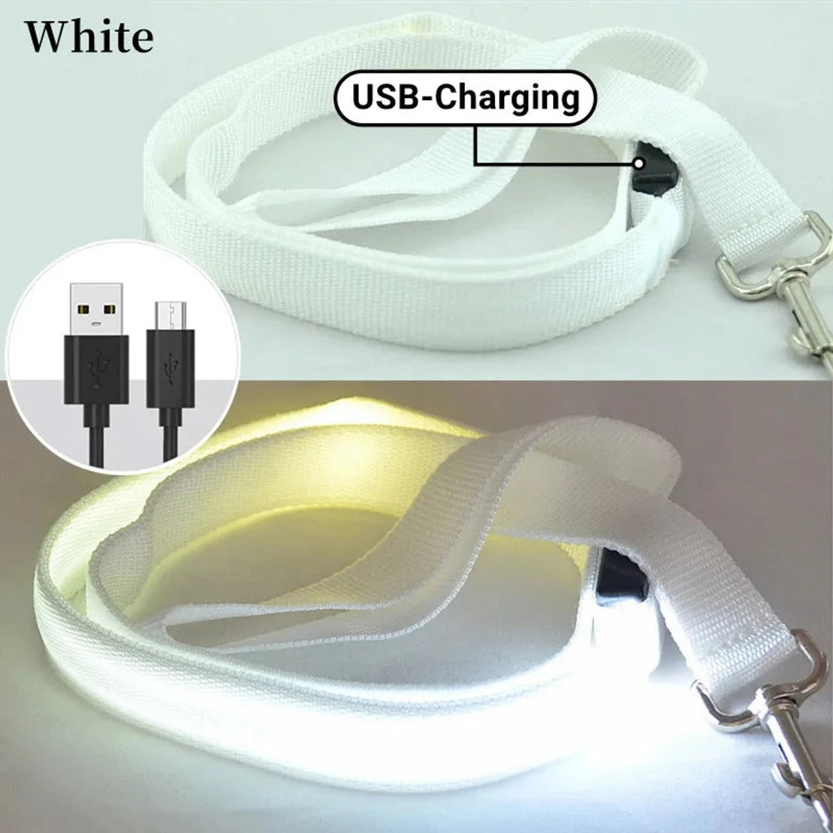 PawCool USB wiederaufladbare LED-Hundeleine – 3 Leuchtmodi für Sicherheit bei Nacht