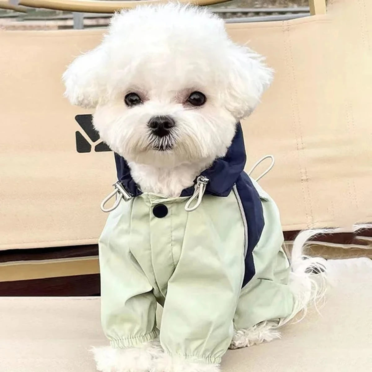 PawCool Four-Leg Dog Raincoat – Windproof Jumpsuit for Small Dogs
