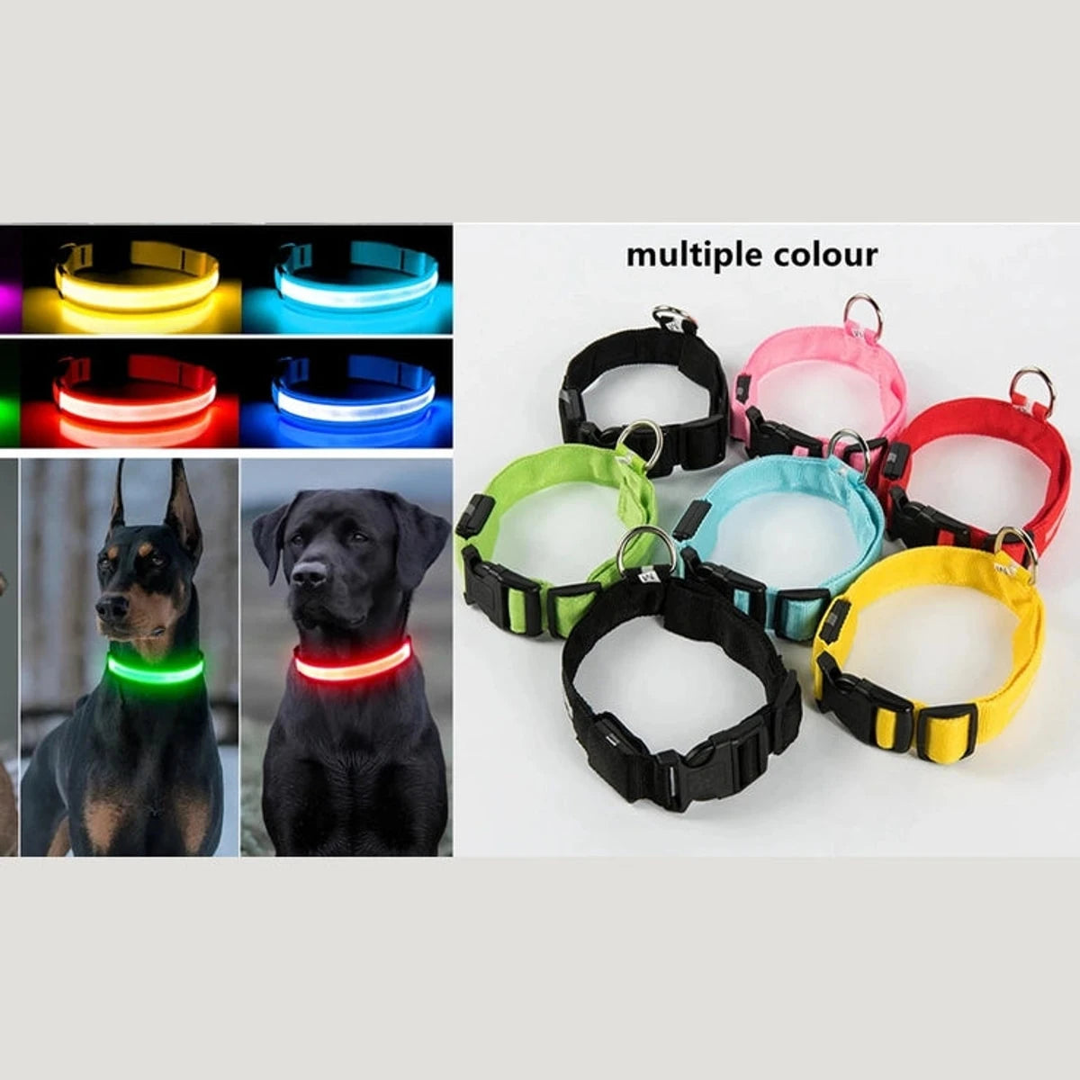 PawCool USB wiederaufladbare LED-Hundeleine – 3 Leuchtmodi für Sicherheit bei Nacht
