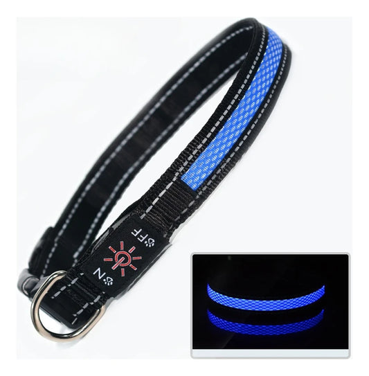 PawCool Leuchtendes LED-Hundehalsband – Nachtsicherheit & Gute Sichtbarkeit