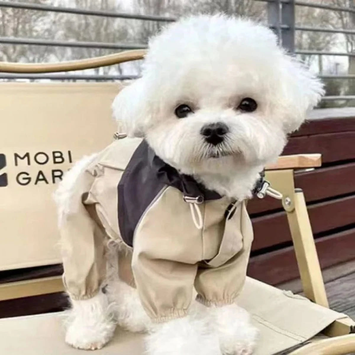 PawCool Four-Leg Dog Raincoat – Windproof Jumpsuit for Small Dogs