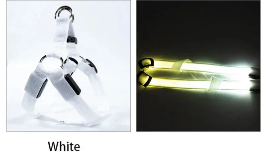 PawCool LED-Hundegeschirr – Reflektierendes & wiederaufladbares Sicherheitslicht