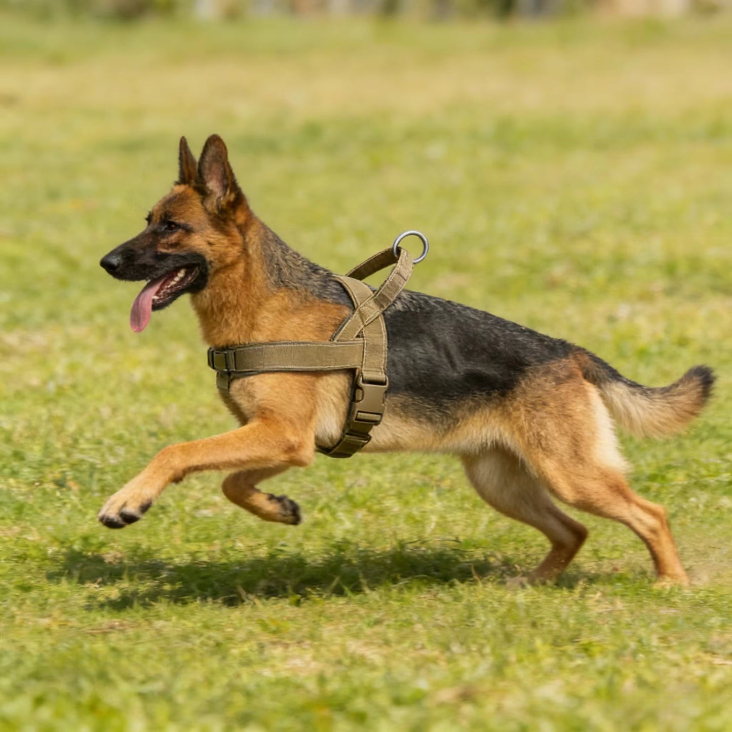 PawCool Taktisches Hundegeschirr – Strapazierfähiges Anti-Zug-Geschirr für große Hunderassen