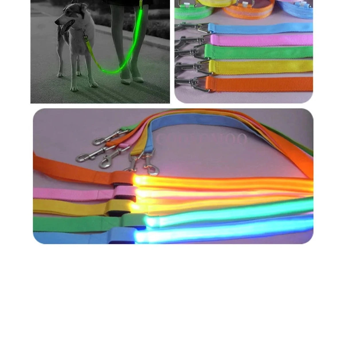 PawCool USB wiederaufladbare LED-Hundeleine – 3 Leuchtmodi für Sicherheit bei Nacht